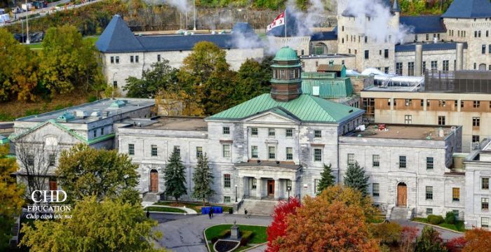 Dịch vụ tư vấn du học CHD hỗ trợ bạn