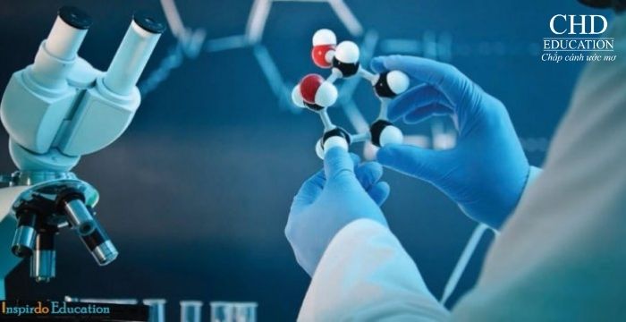 5 NGÀNH HỌC NỔI BẬT NHẤT KHI DU HỌC HÀ LAN 2025