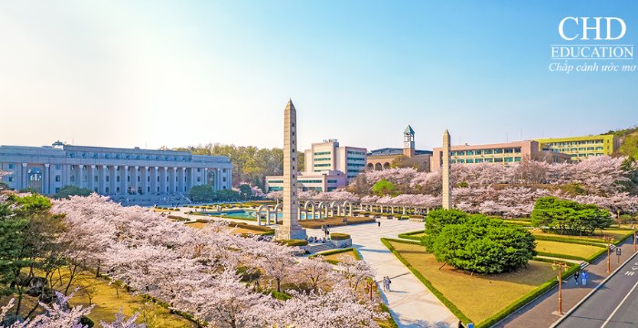 Đại học Kyung Hee Hàn Quốc