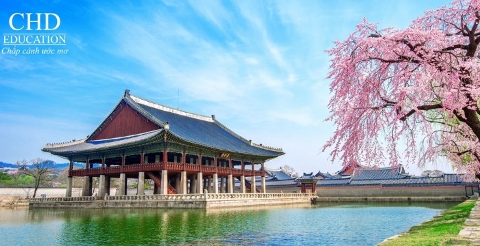 chi phí sinh hoạt tại Hàn Quốc bao nhiêu 1 tháng