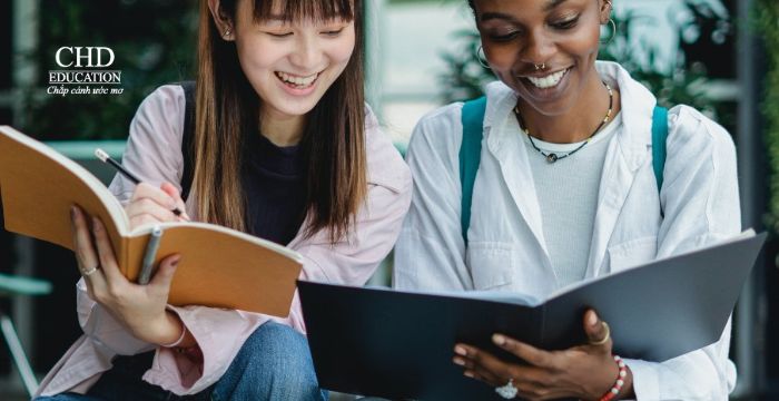 Các loại hình Studienkolleg