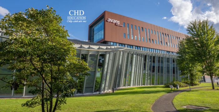 Điều kiện để du học Hà Lan là gì