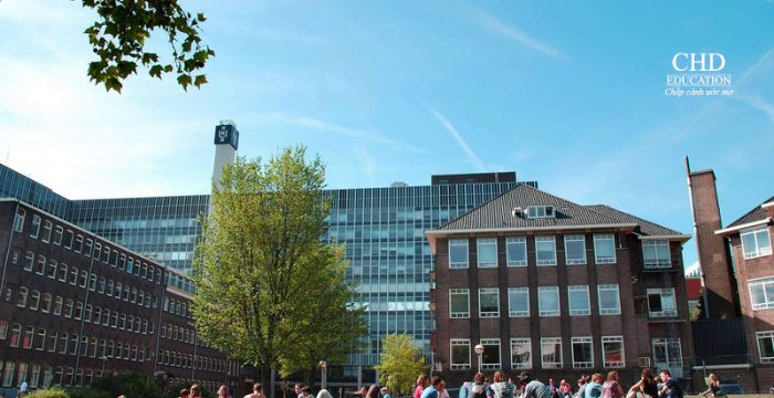 Có những học bổng nào dành cho sinh viên quốc tế