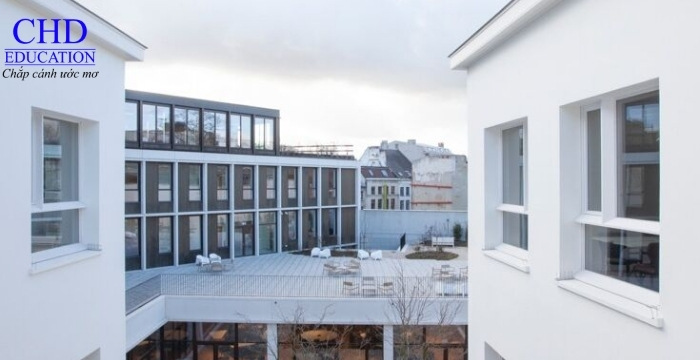 Antwerp Management School (AMS)