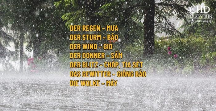 HỌC TIẾNG ĐỨC CHỦ ĐỀ MƯA BÃO – TỪ VỰNG, MẪU CÂU, HỘI THOẠI THỰC TẾ