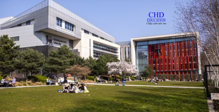 Các trường đại học đô thị