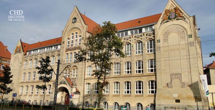 Nền tảng phát triển của WPUT