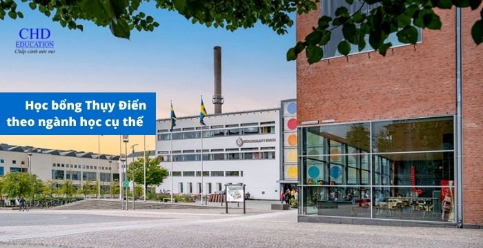 Học bổng theo ngành học cụ thể
