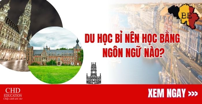 du học bỉ nên học ngôn ngữ nào