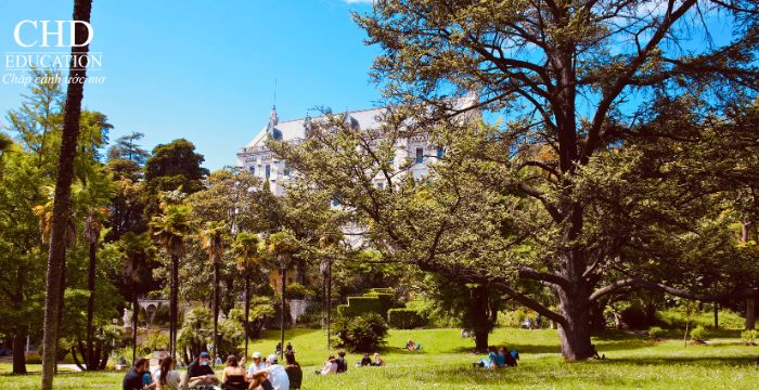 sinh viên tại Đại học Côte d'Azur