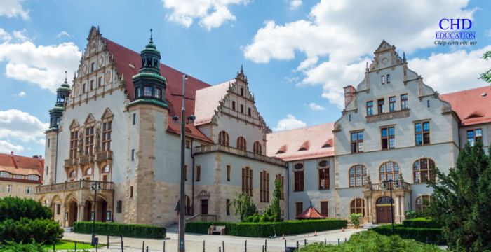 Các trường đại học ở Poznan