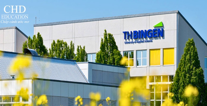 Đại học Kỹ thuật Bingen