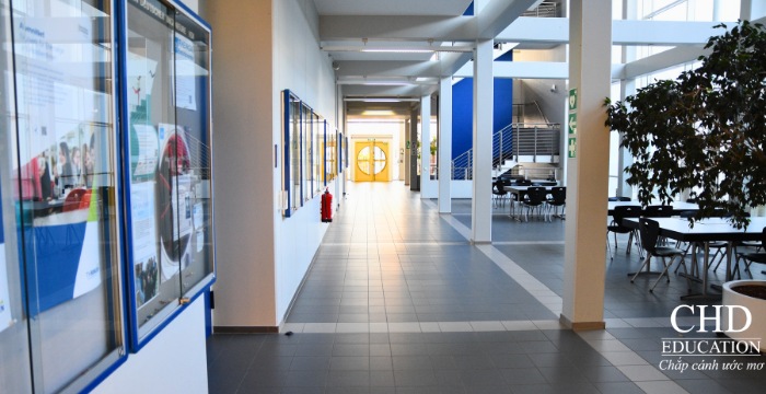 cơ sở vật chất của Đại học Kỹ thuật Bingen