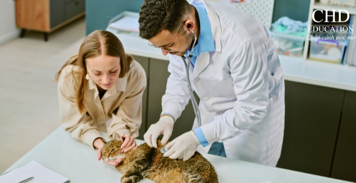  cơ hội việc làm khi học ngành Thú y tại Tây Ban Nha