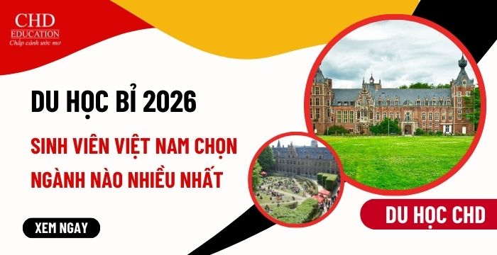 DU HỌC BỈ 2026 SINH VIÊN VIỆT NAM CHỌN NGÀNH NÀO NHIỀU NHẤT