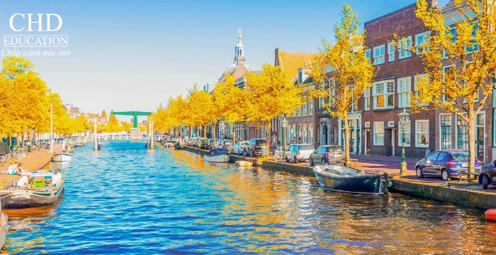 học tại thành phố Eindhoven Hà Lan
