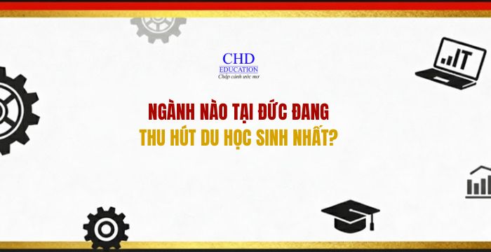 Ngành nào đang hút du học sinh nhất?