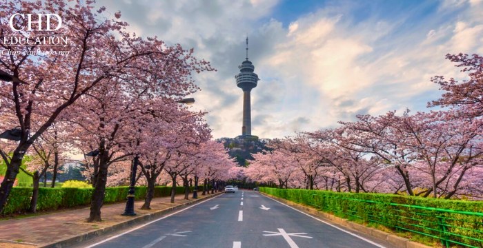 du học Hàn Quốc tại thành phố Daegu