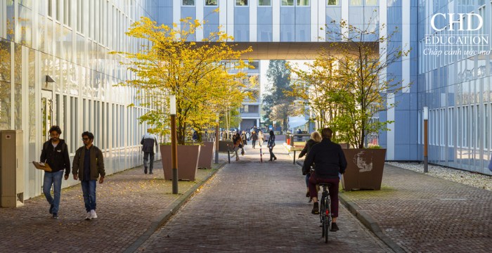 chi phí du học hà lan hết bao nhiêu tiền