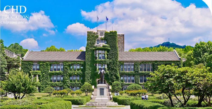 học IT tại Đại học Yonsei
