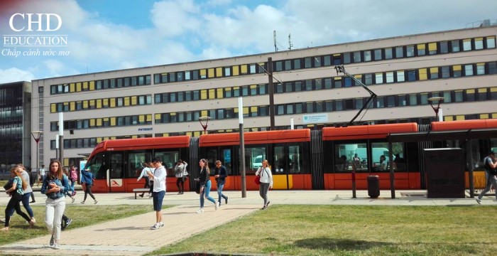 Đại học Le Mans 