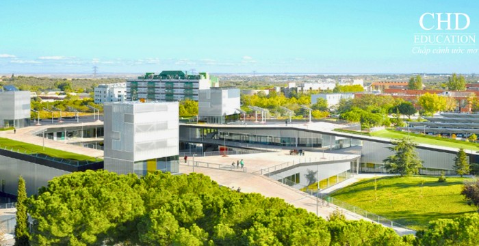 ngành tâm lý học tại Đại học Autonoma Madrid