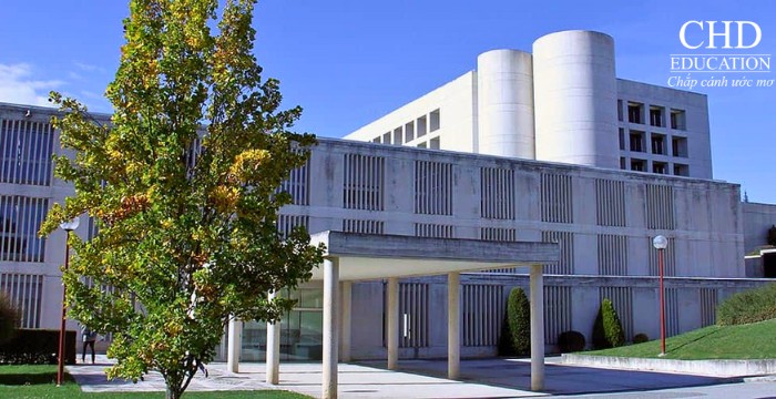 ngành tâm lý học tại Đại học Navarra