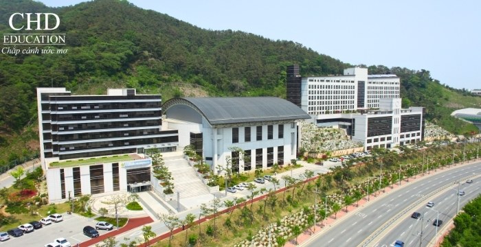 Đại học Honam Hàn Quốc