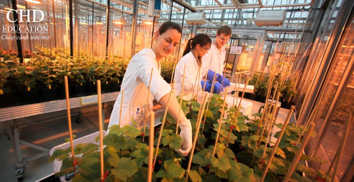 cơ sở vật chất của Đại học Geisenheim