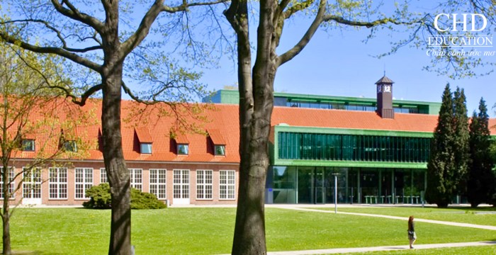 lộ trình học Dự bị đại học Đức