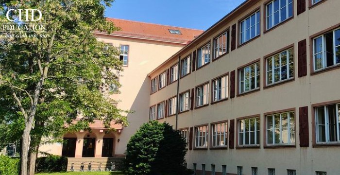 trường dự bị đại học khối W Studienkolleg Sachsen