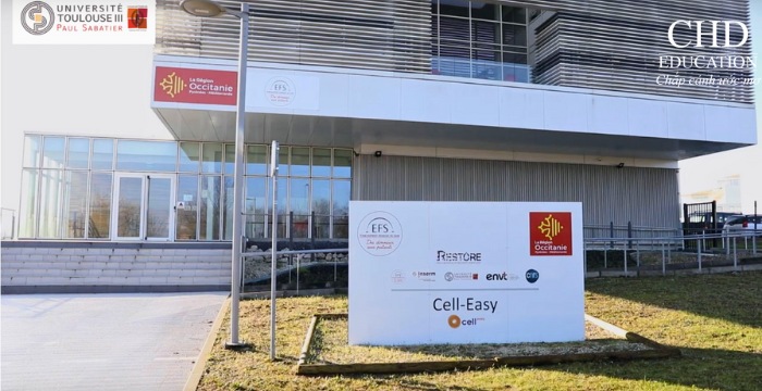 học tại Đại học Toulouse 3 Paul Sabatier Pháp
