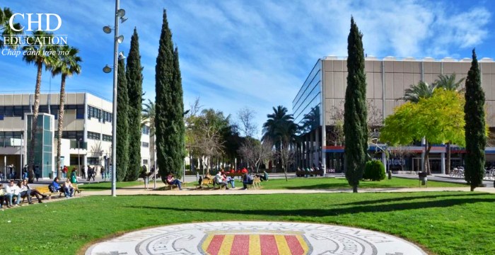 học ngành công nghệ thực phẩm tại Đại học Bách khoa Valencia