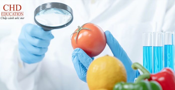 học ngành Công nghệ thực phẩm tại TBN