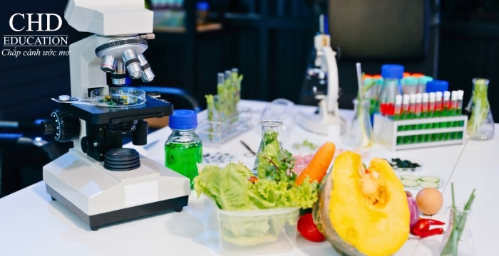 cơ hội việc làm khi học ngành công nghệ thực phẩm tại TBN