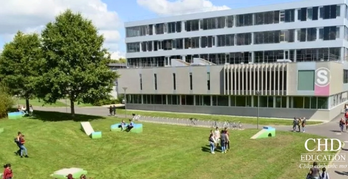học tại Đại học Rennes 2