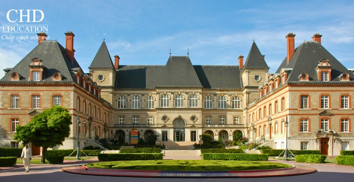 học ngành tâm lý học tại Đại học Paris Cite