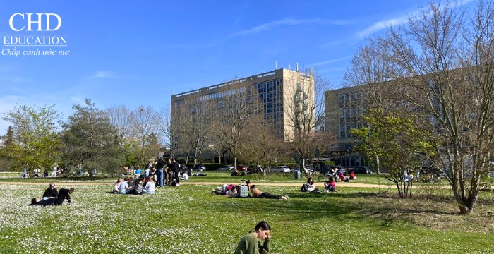 học ngành Tâm lý học tại Đại học Paris Nanterre
