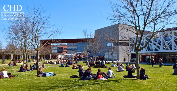 học ngành Tâm lý học tại Đại học Toulouse Jean-Jaurès