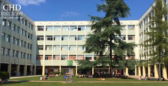 Đại học Lorraine Pháp