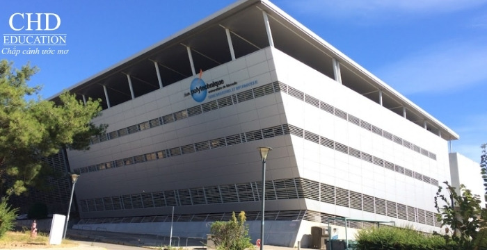 Polytech Marseille Pháp