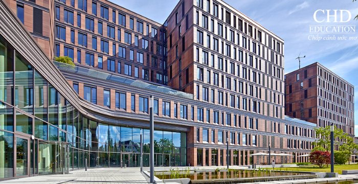 học ngành khoa học dữ liệu tại trường quản lý và tài chính Frankfurt