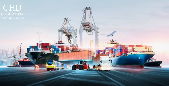 học ngành thương mại quốc tế tại pháp