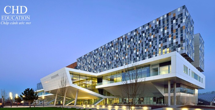 học ngành thương mại quốc tế tại trường kinh doanh KEDGE