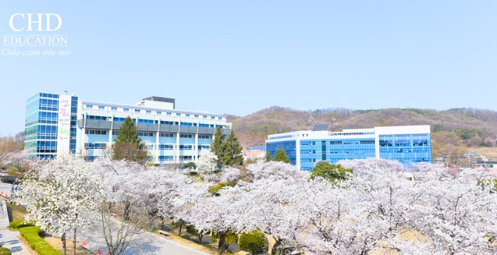 học tại Đại học Soonchunhyang