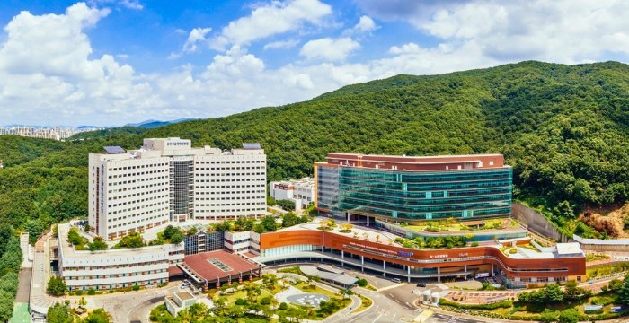 Đại học Quốc gia Seoul