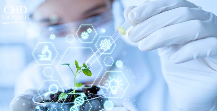 cơ hội việc làm khi học công nghệ sinh học tại Hàn