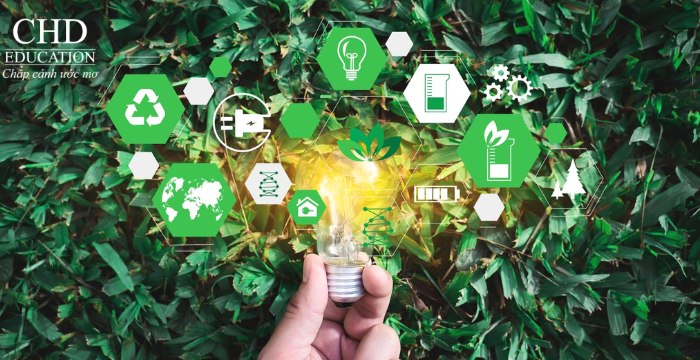 học ngành đổi mới bền vững tại hà lan