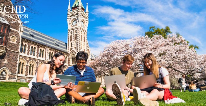 yêu cầu IELTS du học new zealand theo từng hệ học