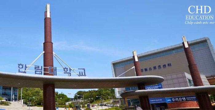 học ngành ngành thương mại quốc tế tại Hàn